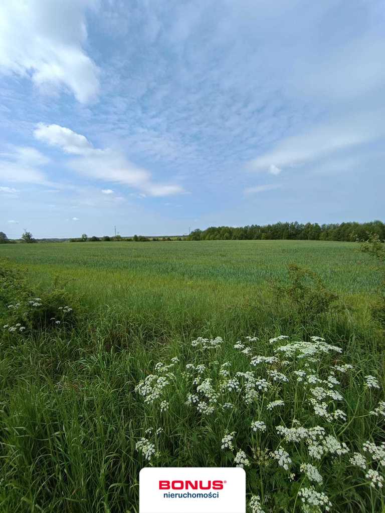 Grunt rolny do zagospodarowania na różne sposoby! (7)