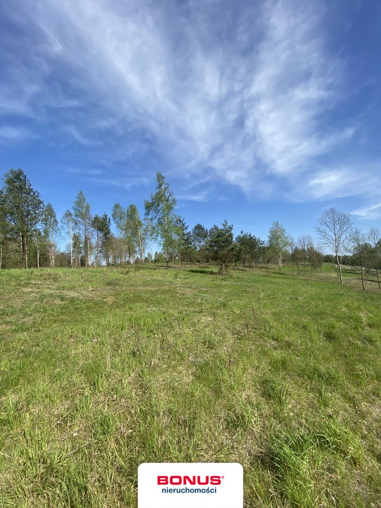 Najpiękniesze działki nad jeziorem  Lubie:) (5)