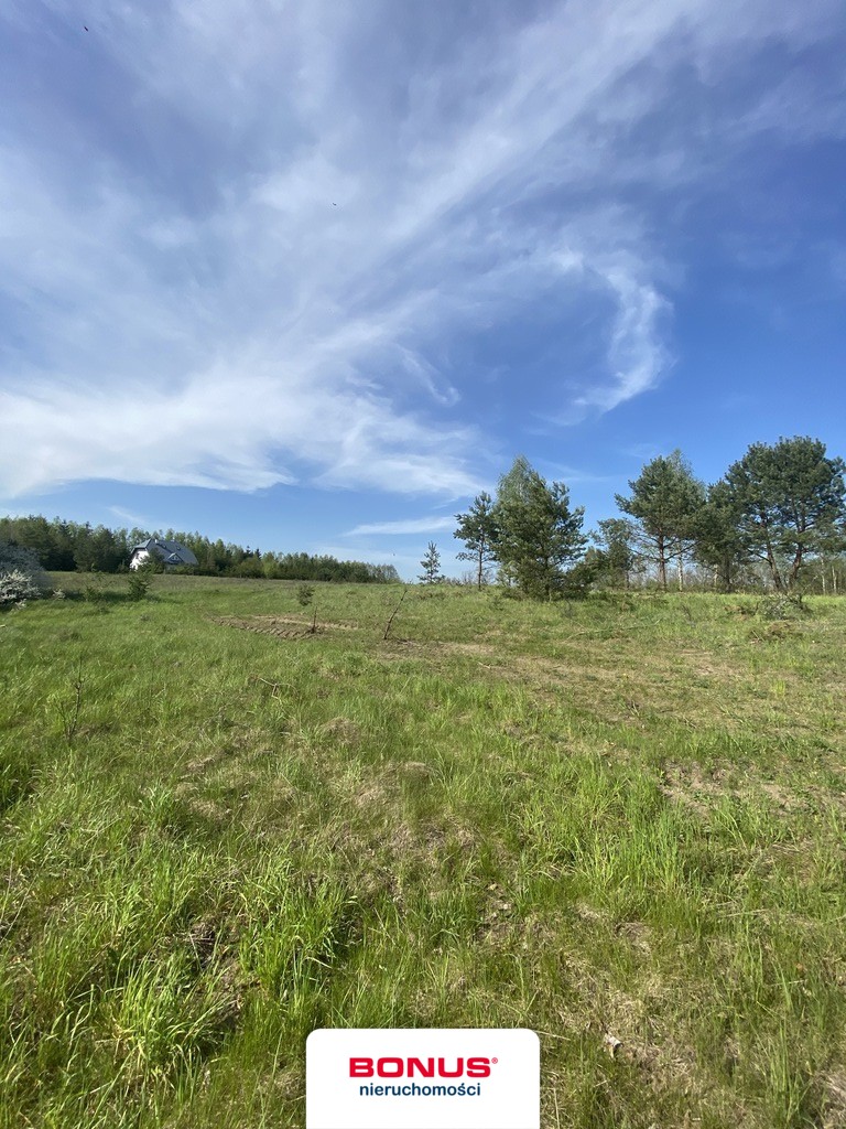 Najpiękniesze działki nad jeziorem  Lubie:) (6)