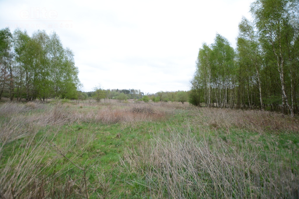 Żółwia Błoć działka budowlana z mediami (6)