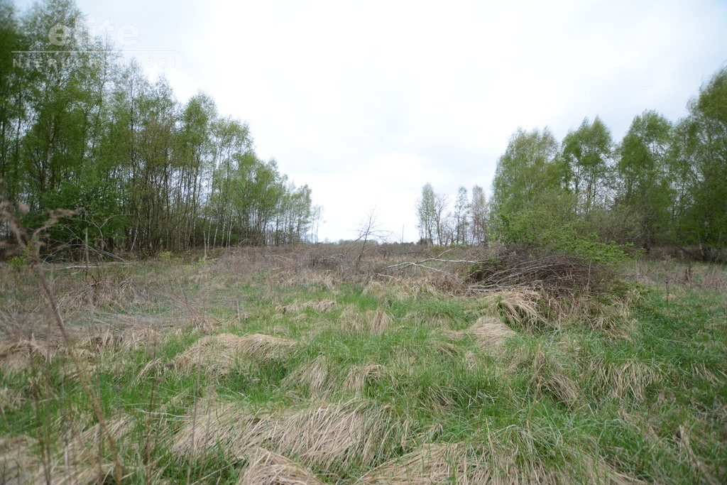 Żółwia Błoć działka budowlana z mediami (7)