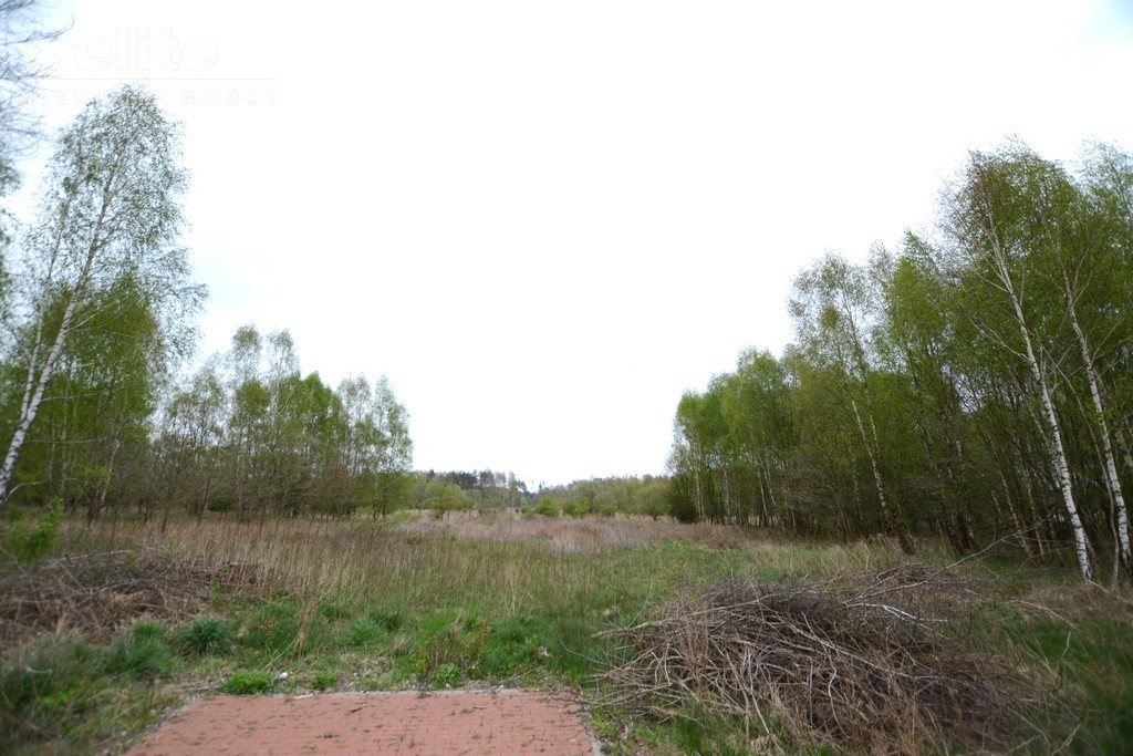 Żółwia Błoć działka budowlana z mediami (8)