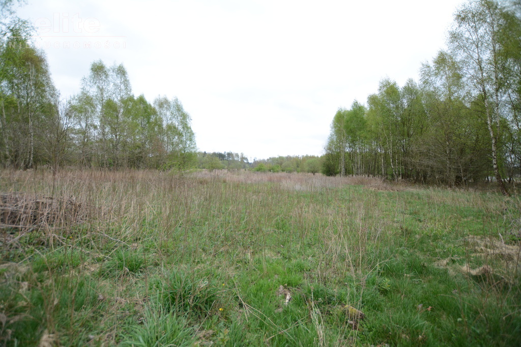 Żółwia Błoć działka budowlana z mediami (9)