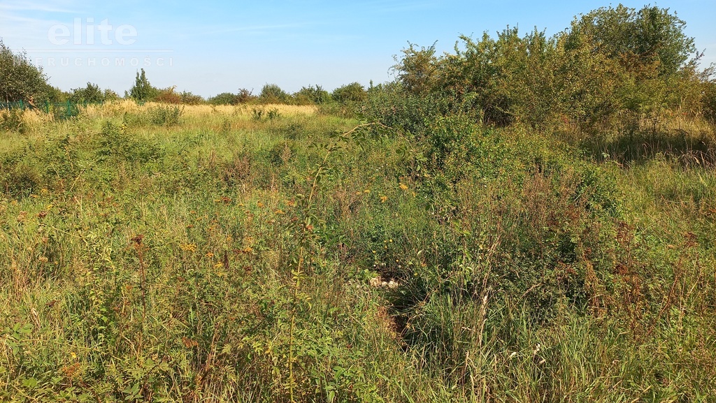 Koszalin działka komercyjna strefa ekonomiczna (1)
