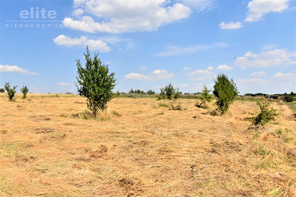 Na sprzedaż działka nad jeziorem Kłodowskim (7)