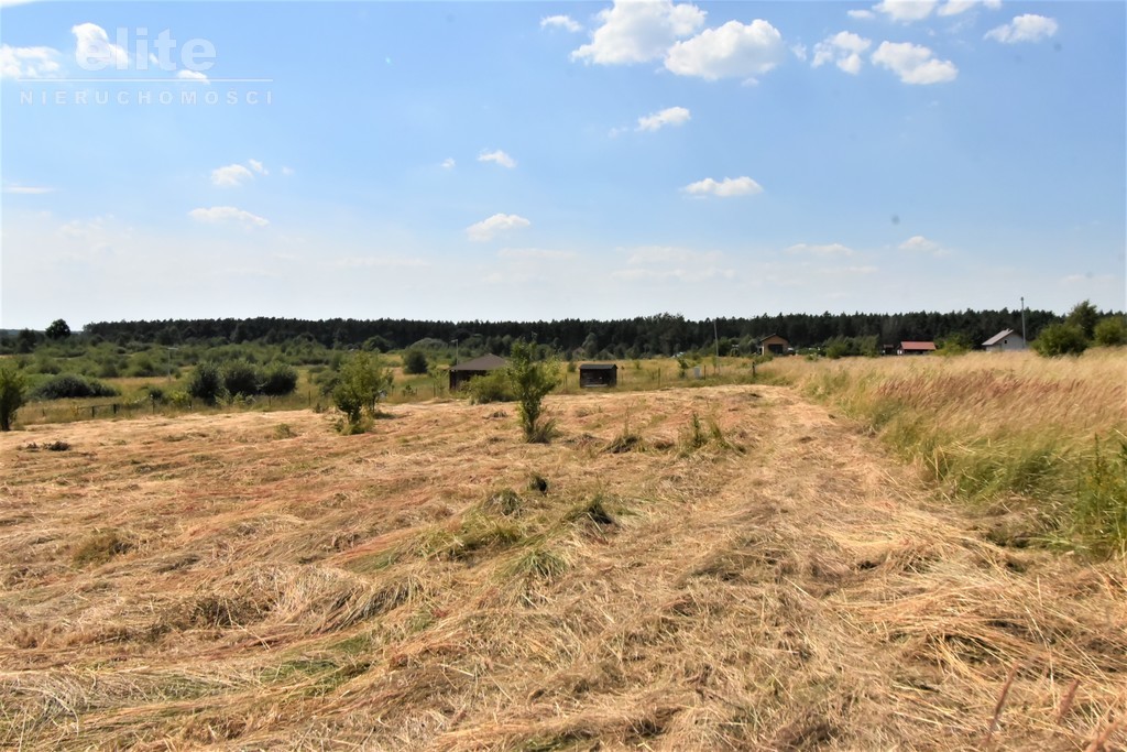 Na sprzedaż działka nad jeziorem Kłodowskim (10)