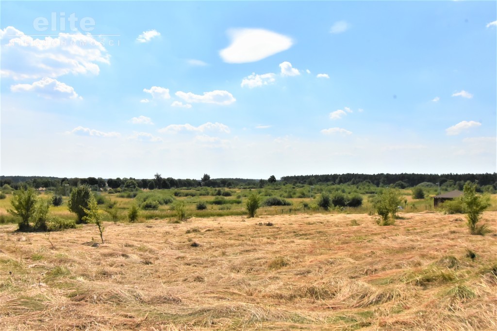 Na sprzedaż działka nad jeziorem Kłodowskim (12)