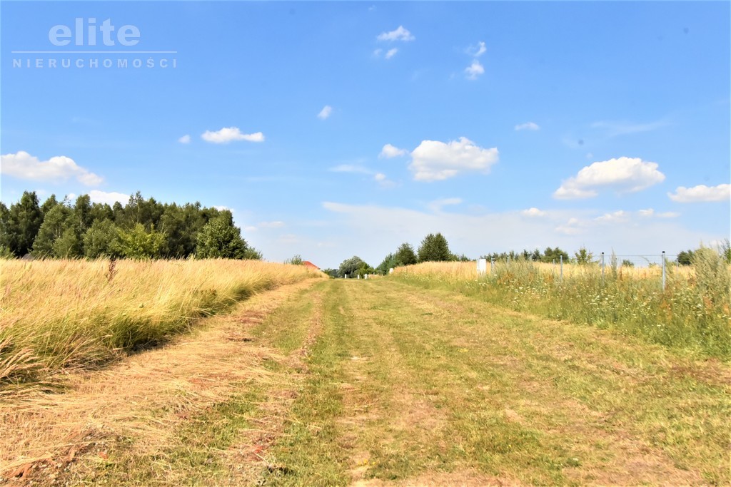 Na sprzedaż działka nad jeziorem Kłodowskim (13)