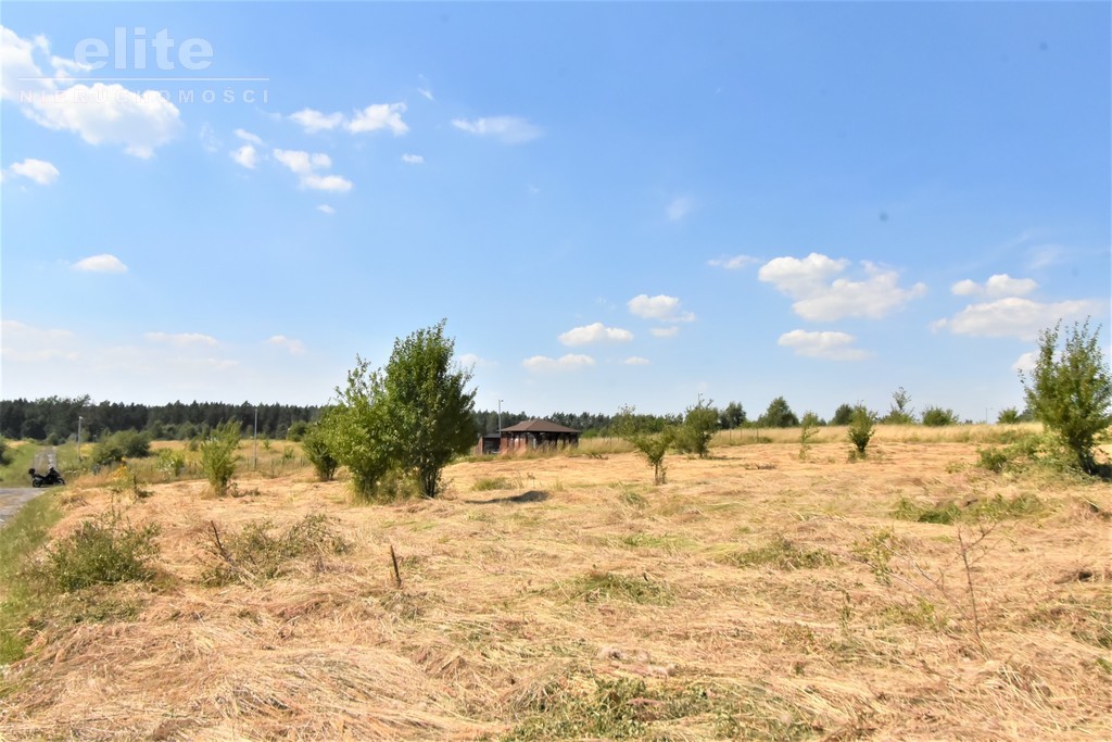 Na sprzedaż działka nad jeziorem Kłodowskim (14)