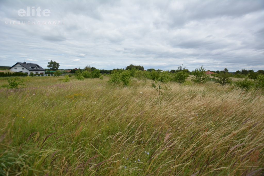 Rolna, 3,166 m2, Wąwelnica  (2)