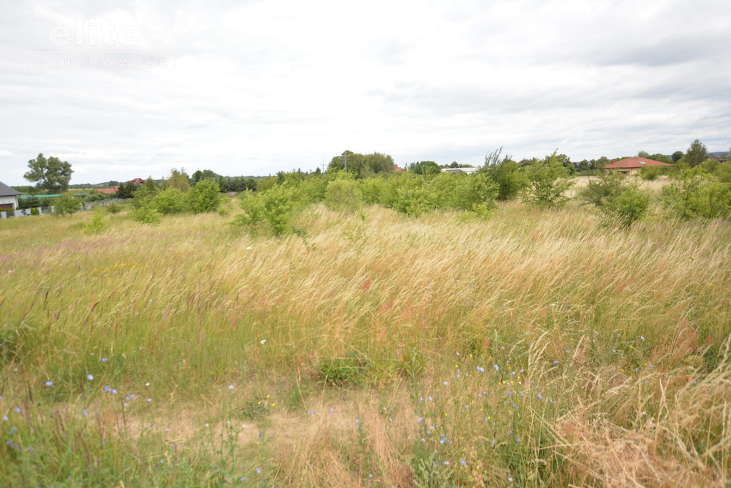 Rolna, 3,166 m2, Wąwelnica  (5)