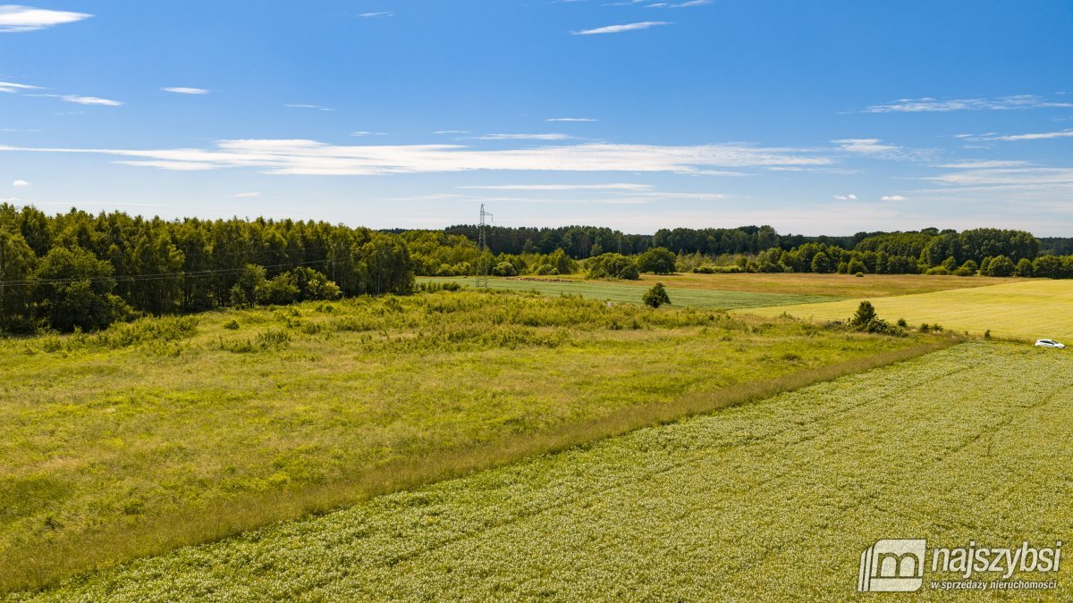 Dzisna - działka inwestycyjna (15)