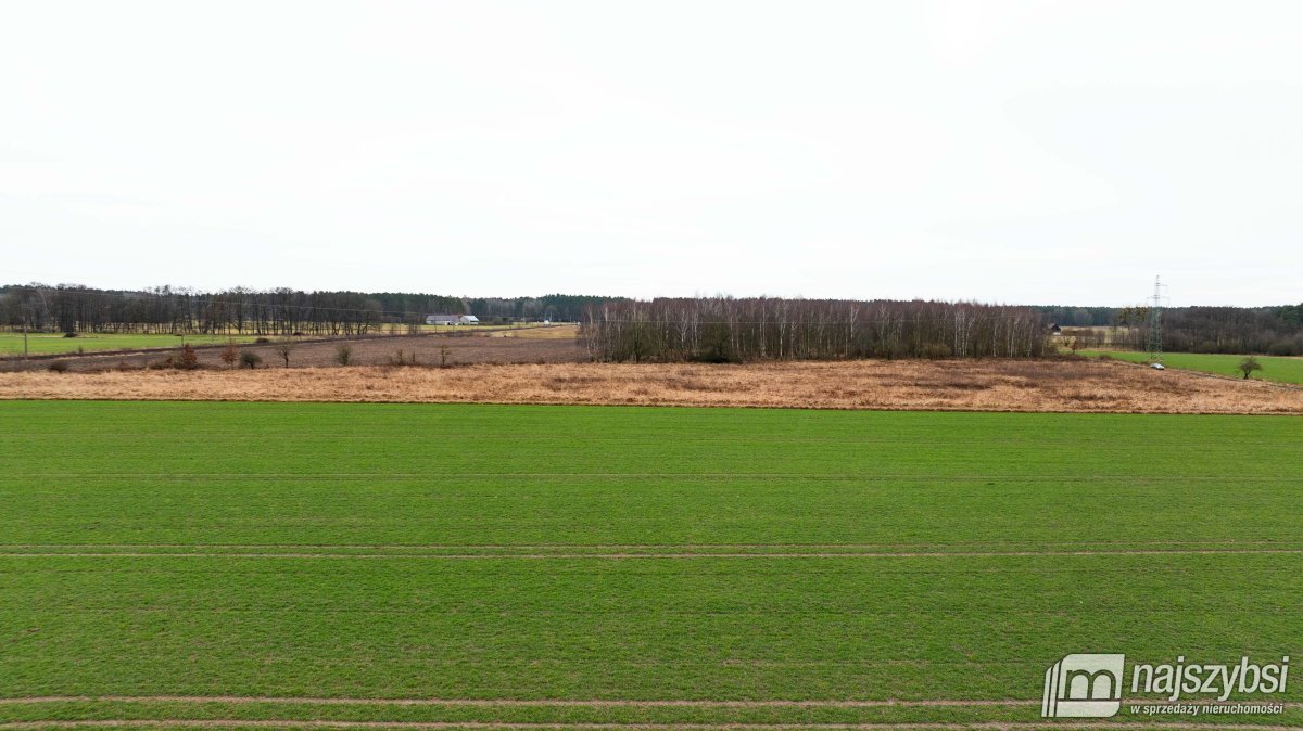 Dzisna - działka inwestycyjna (7)