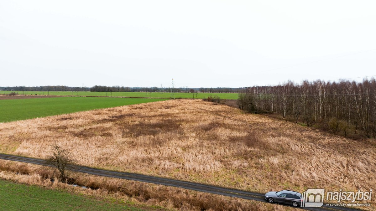 Dzisna - działka inwestycyjna (8)