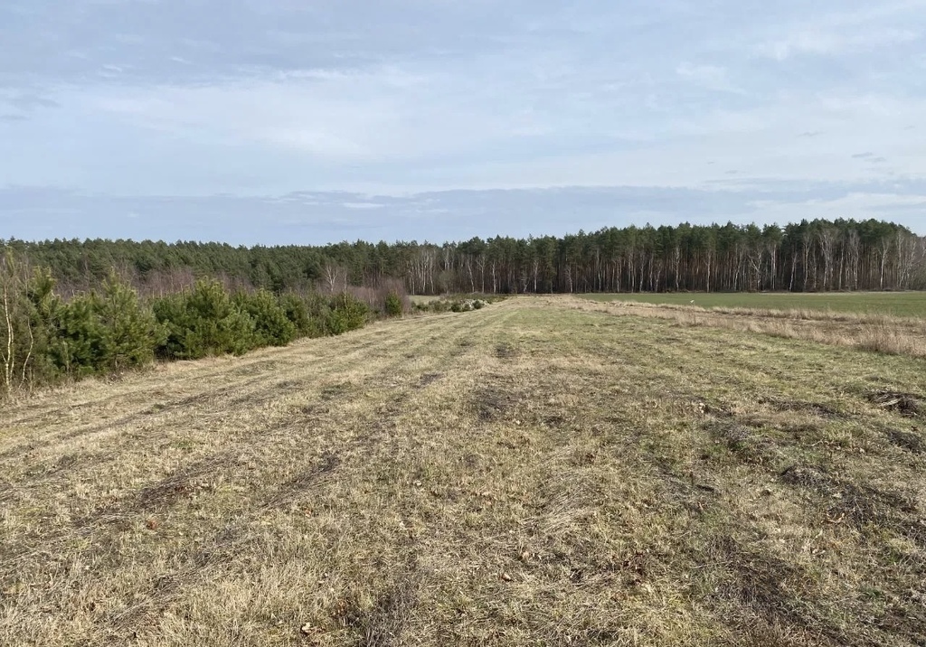 Działka budowlana z warunkami koło Pobierowa (7)