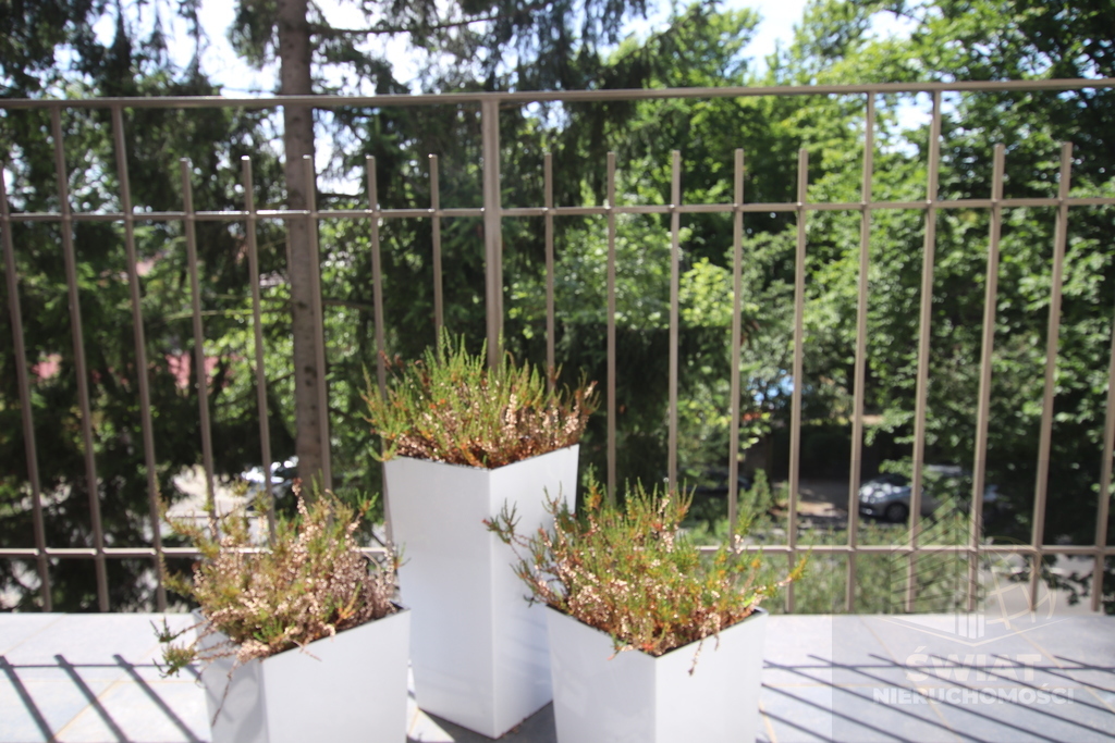 Jasne Błonia, przy Parku Kasprowicza lokal na I p (5)