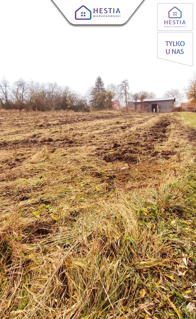 Dom na dużej działce do gruntownego remontu (13)