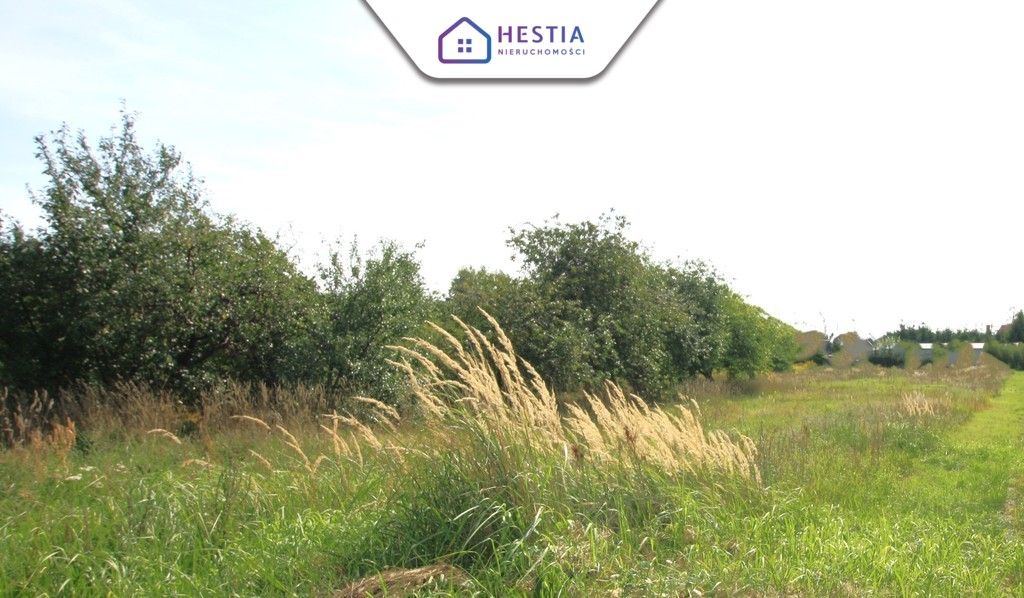 Ińsko - sprzedaż działki budowlanej (4)