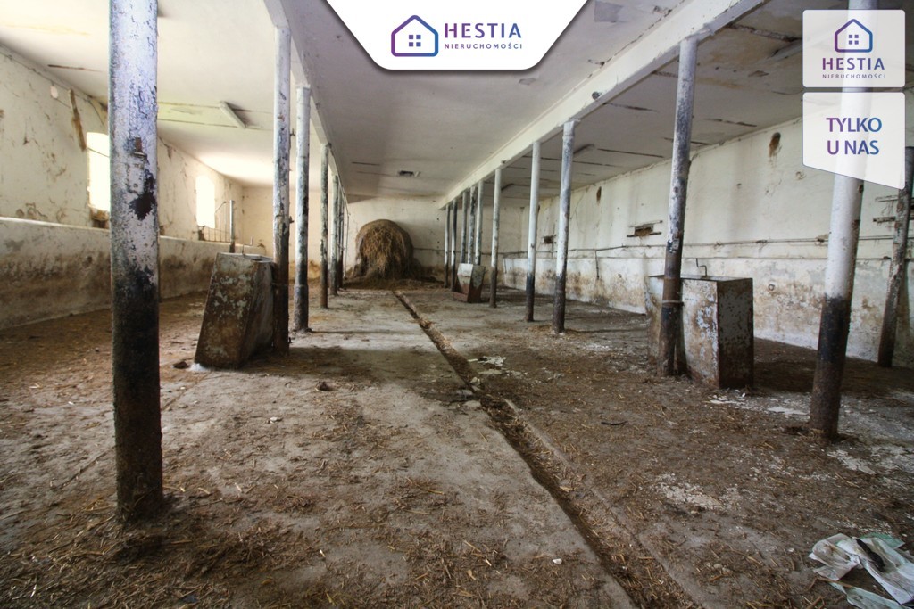 Budynek gospodarczy z dużą działką-Koło Stargardu (6)