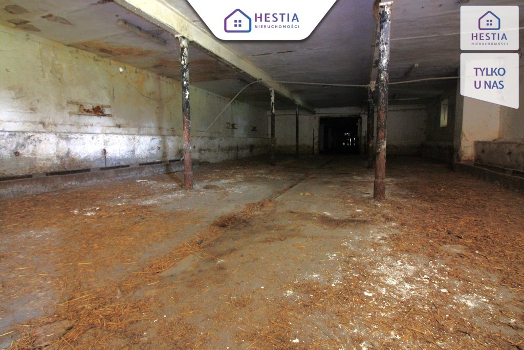 Budynek gospodarczy z dużą działką-Koło Stargardu (7)