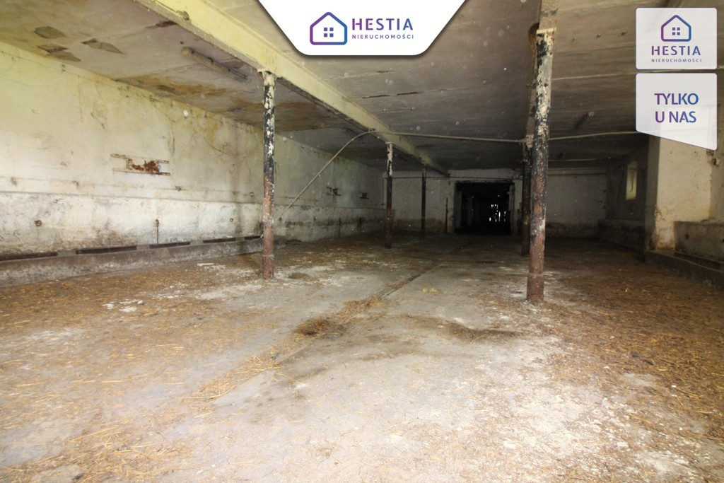 Budynek gospodarczy z dużą działką-Koło Stargardu (8)