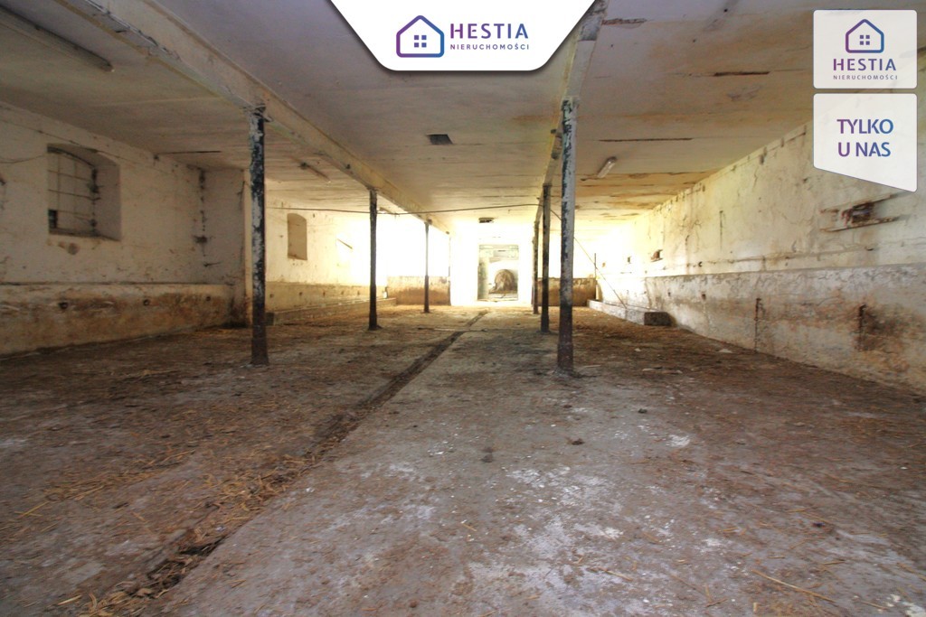 Budynek gospodarczy z dużą działką-Koło Stargardu (11)