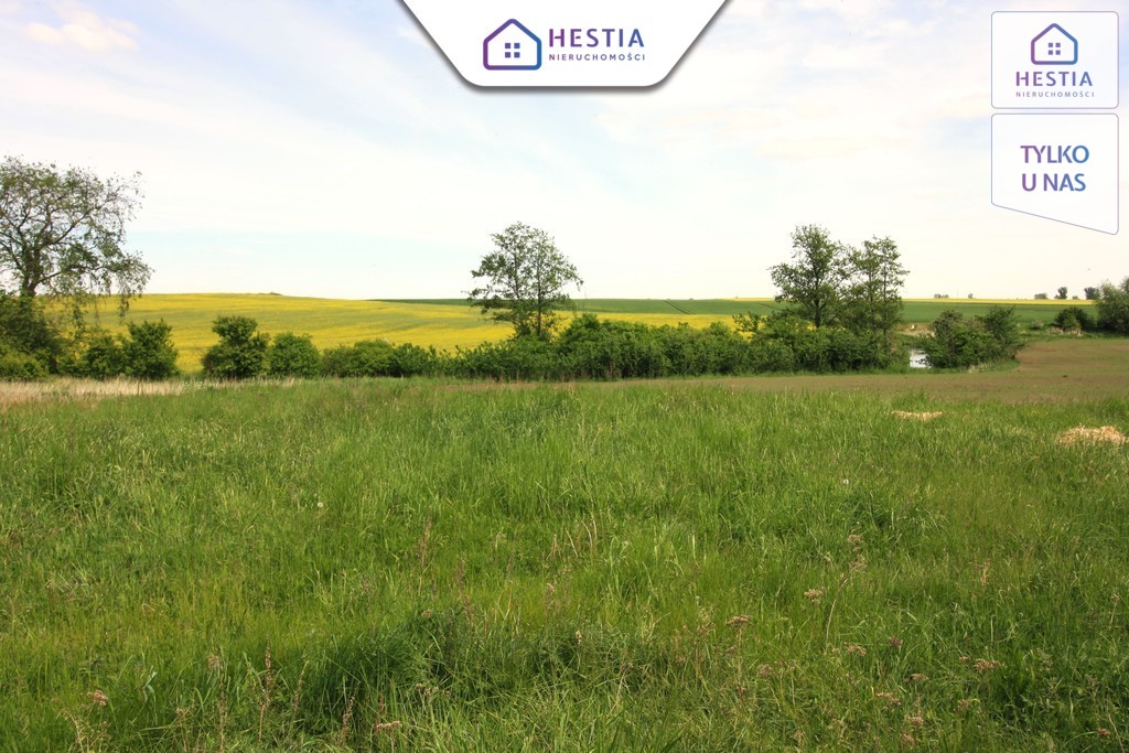 Budynek gospodarczy z dużą działką-Koło Stargardu (4)