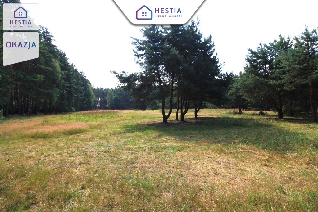 Duża działka przy lesie w Wielgowie (3)