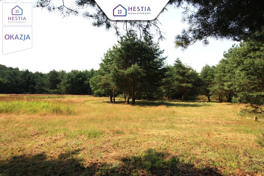 Duża działka przy lesie w Wielgowie (2)