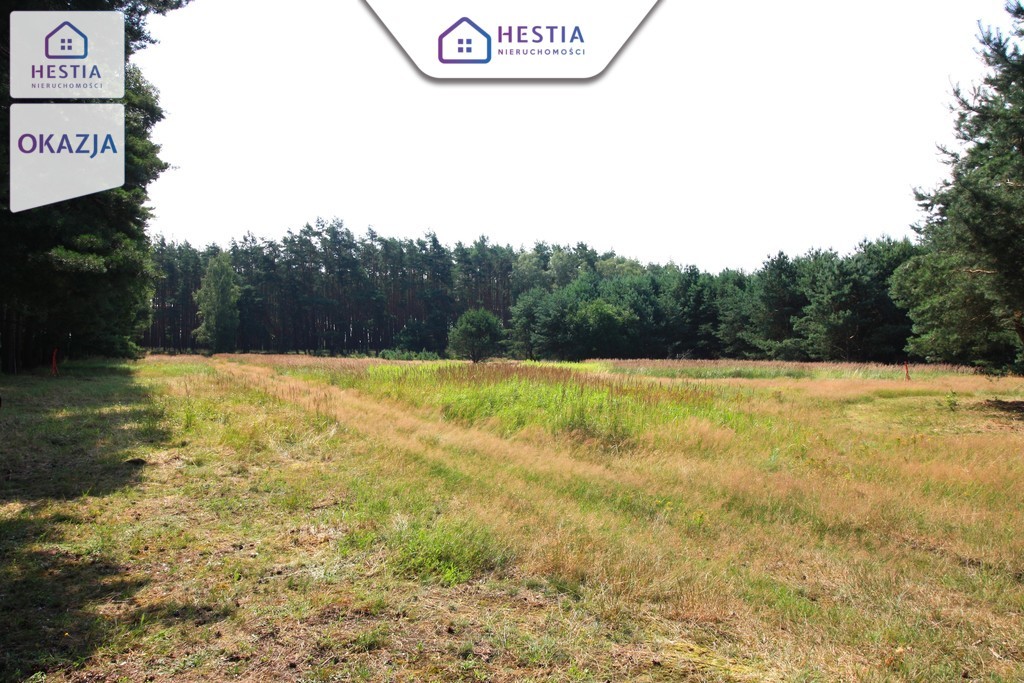 Duża działka przy lesie w Wielgowie (5)