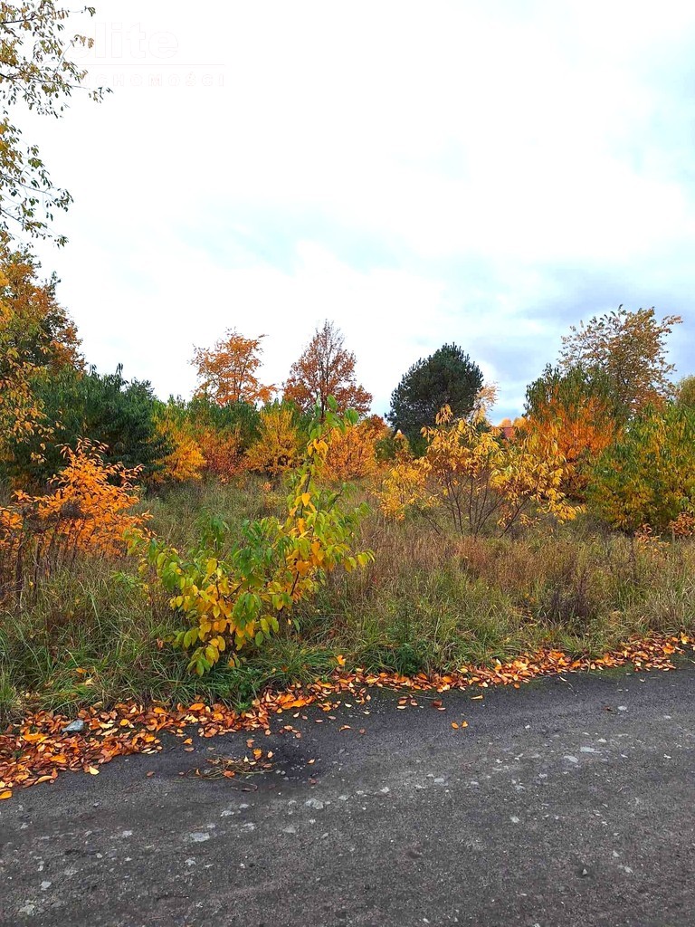 Działka budowlana w Kliniskach Wielkich (5)