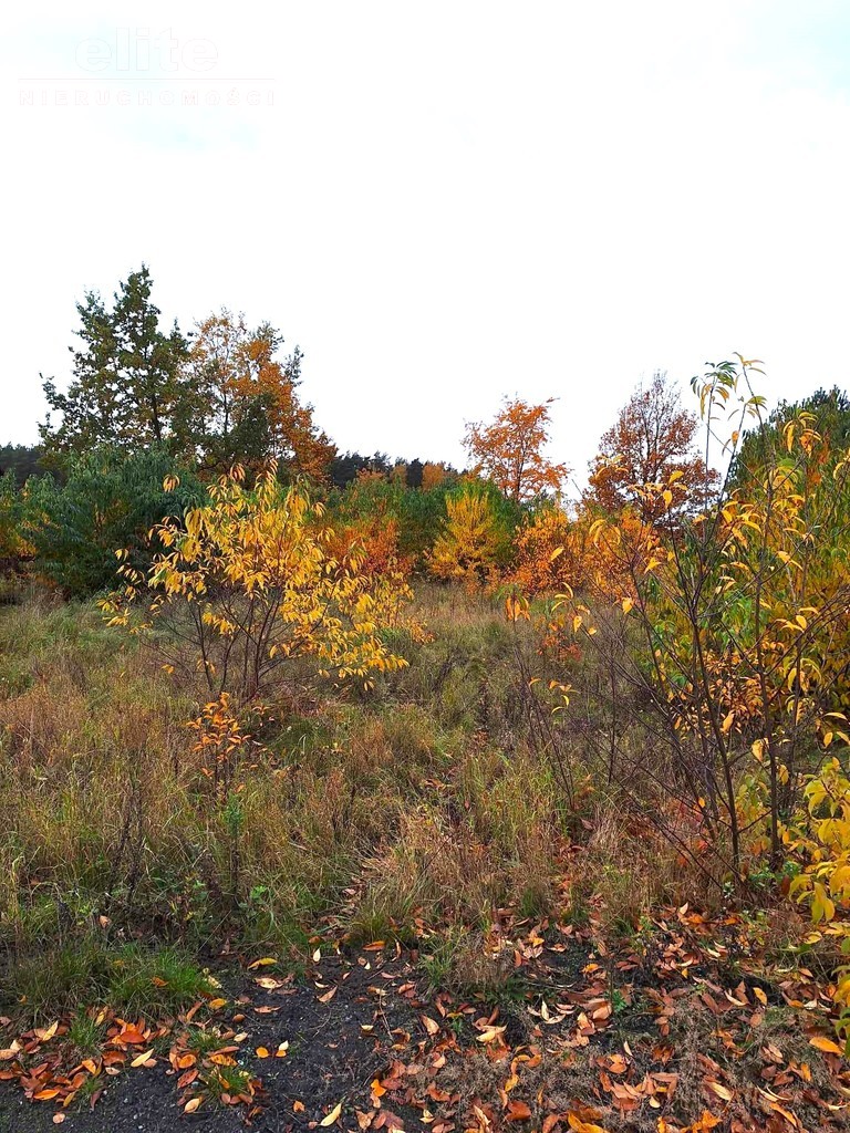 Działka budowlana w Kliniskach Wielkich (6)