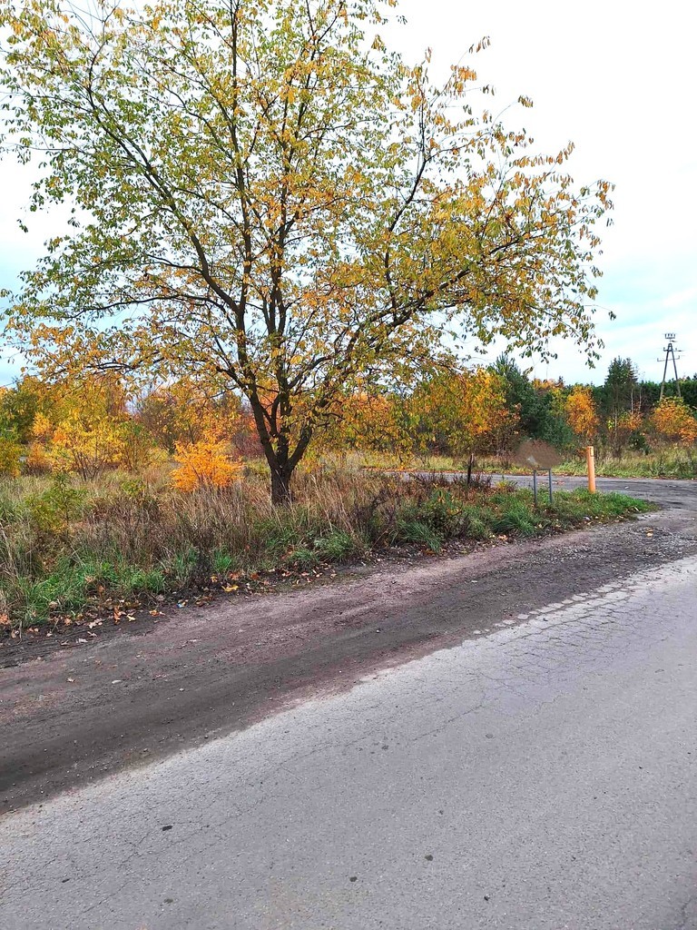 Działka budowlana w Kliniskach Wielkich (7)