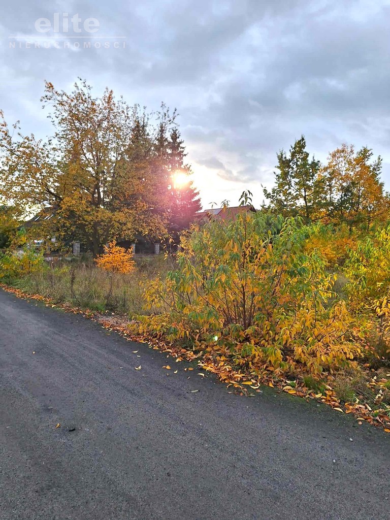 Działka budowlana w Kliniskach Wielkich (4)