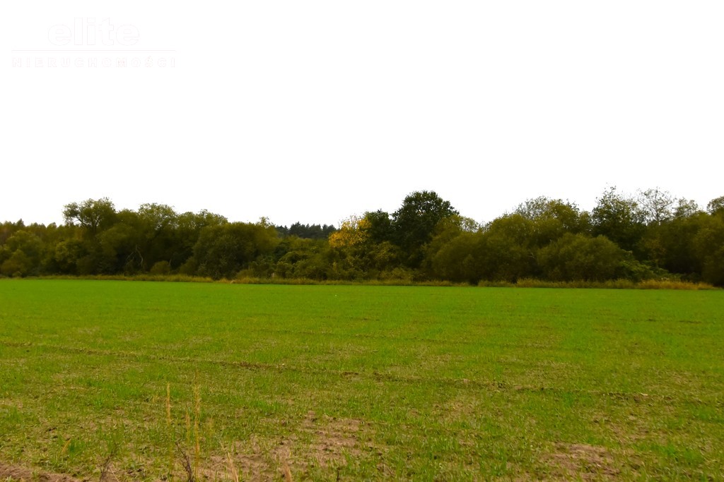 Działka budowlana w Policach obręb Siedlice (2)