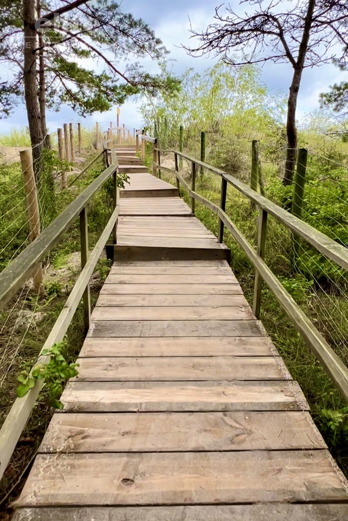 Międzywodzie pierwsza linia zabudowy, w lesie (6)