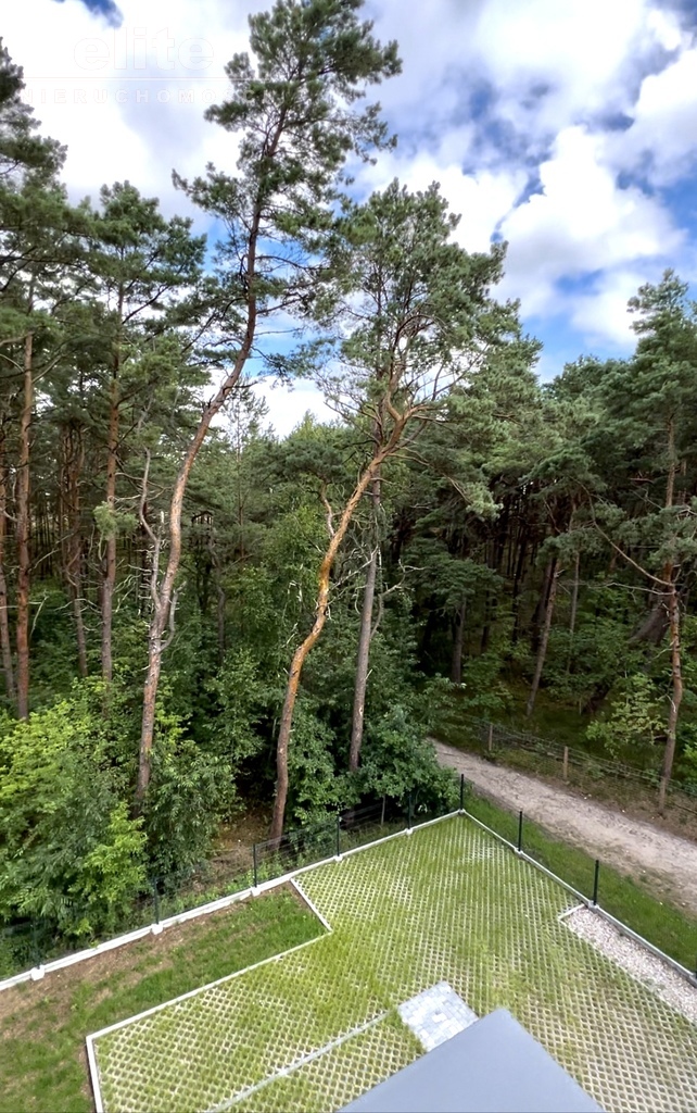 Międzywodzie pierwsza linia zabudowy, w lesie (7)