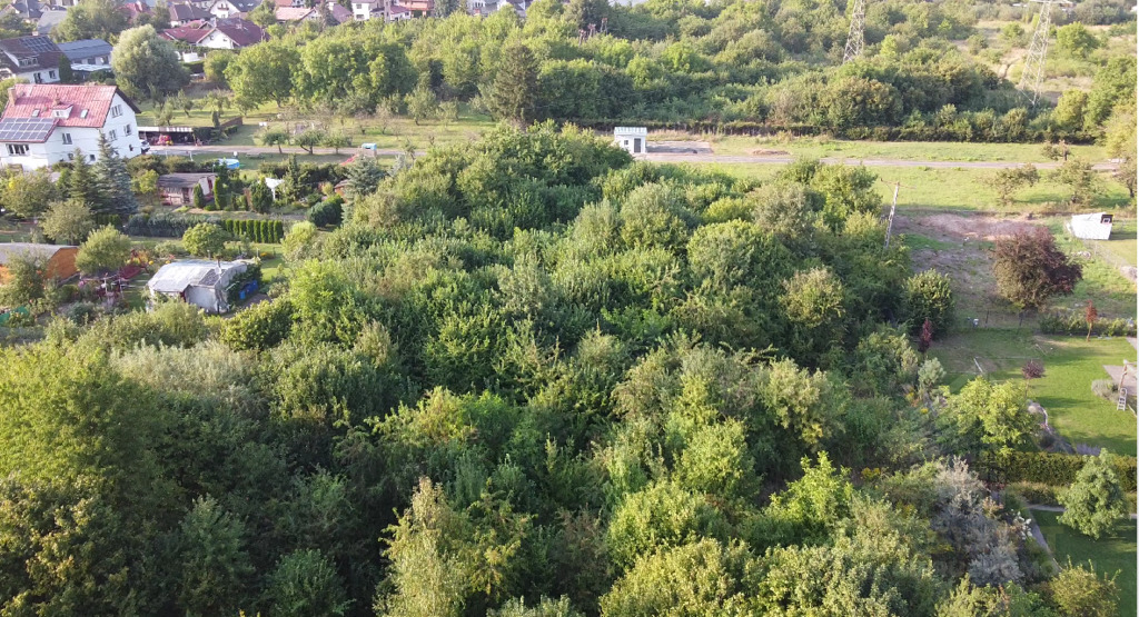 Oferujemy na sprzedaż działkę o powierzchni 5246 m (3)