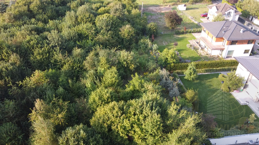 Oferujemy na sprzedaż działkę o powierzchni 5246 m (4)