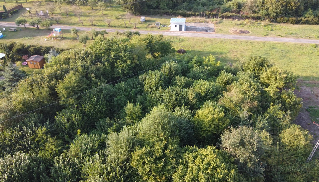 Oferujemy na sprzedaż działkę o powierzchni 5246 m (5)