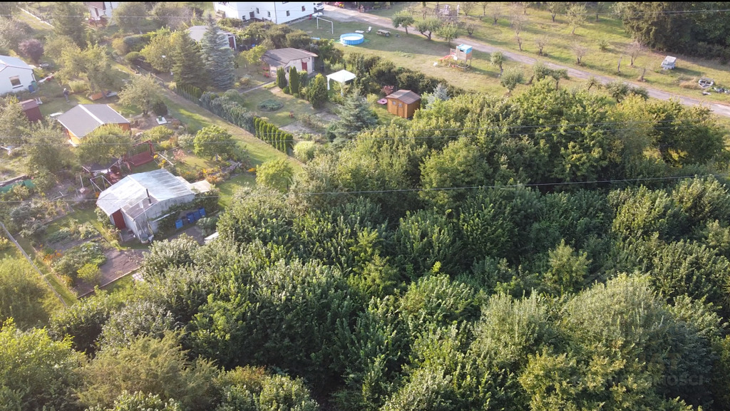 Oferujemy na sprzedaż działkę o powierzchni 5246 m (6)