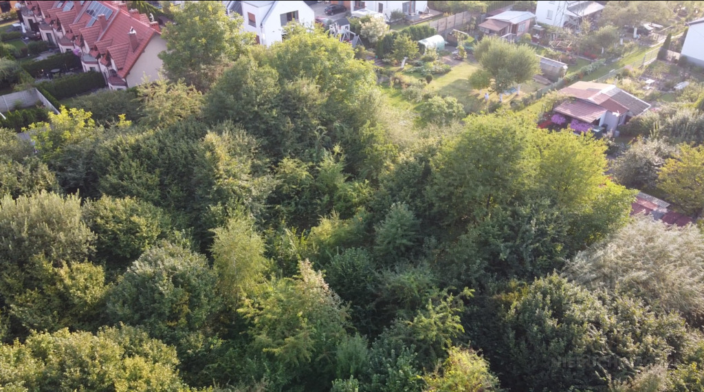 Oferujemy na sprzedaż działkę o powierzchni 5246 m (7)