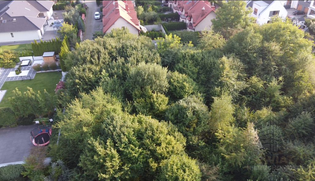 Oferujemy na sprzedaż działkę o powierzchni 5246 m (8)