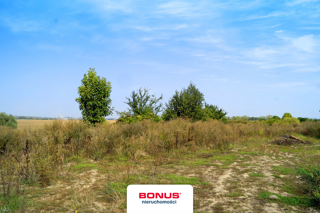 Atrakcyjna działka inwestycyjna - Kamieniec (1)
