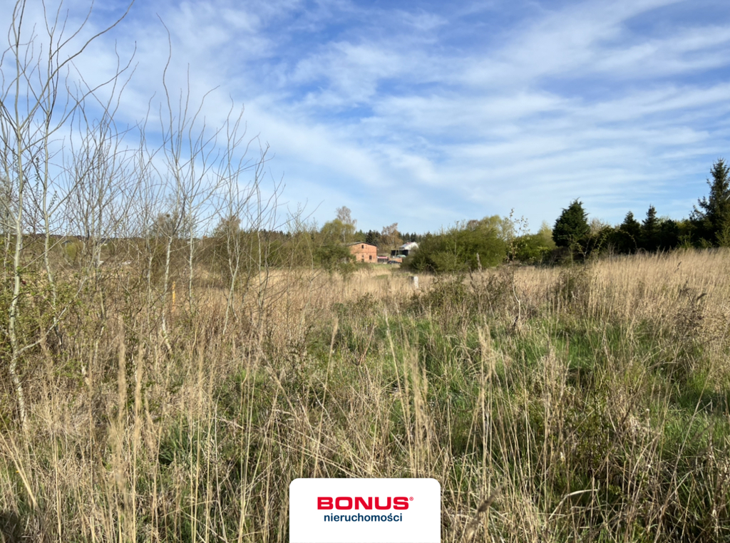 Atrakcyjna działka pod budowę domu - Mierzyn (1)