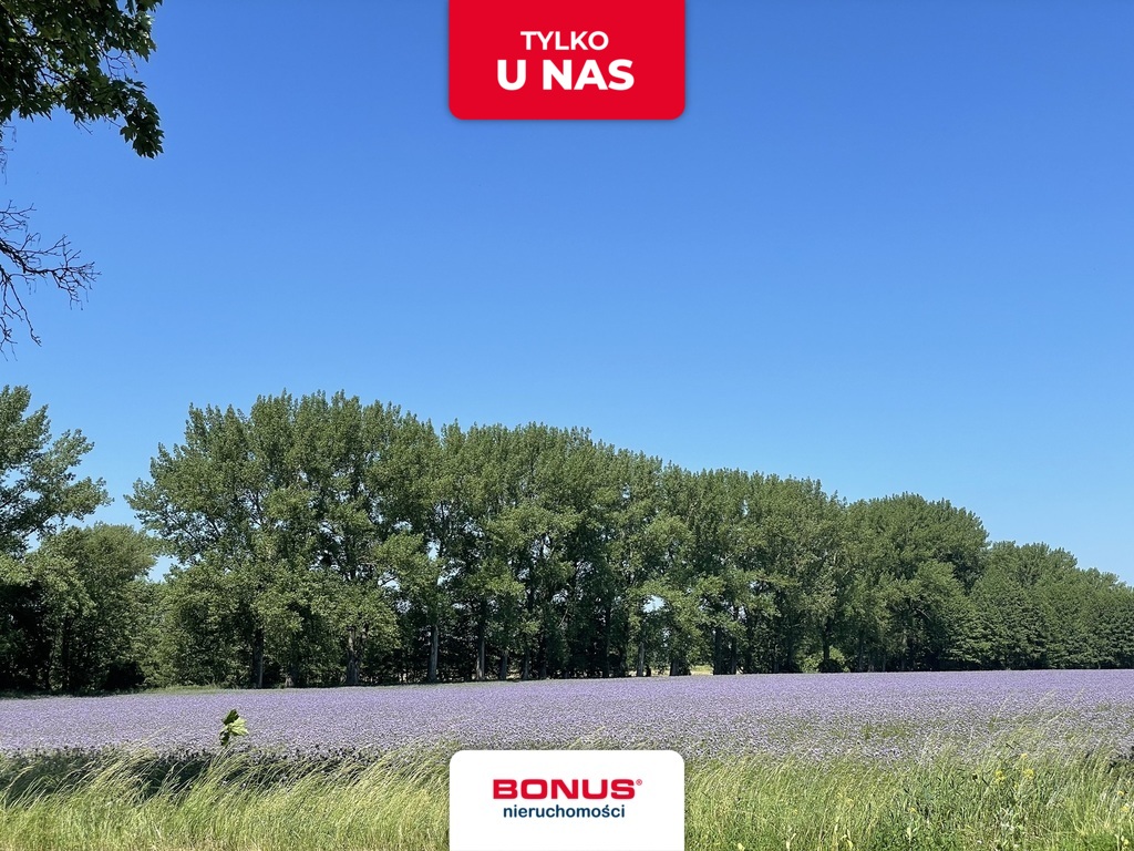 Działka nad jeziorem, Moryń (1)