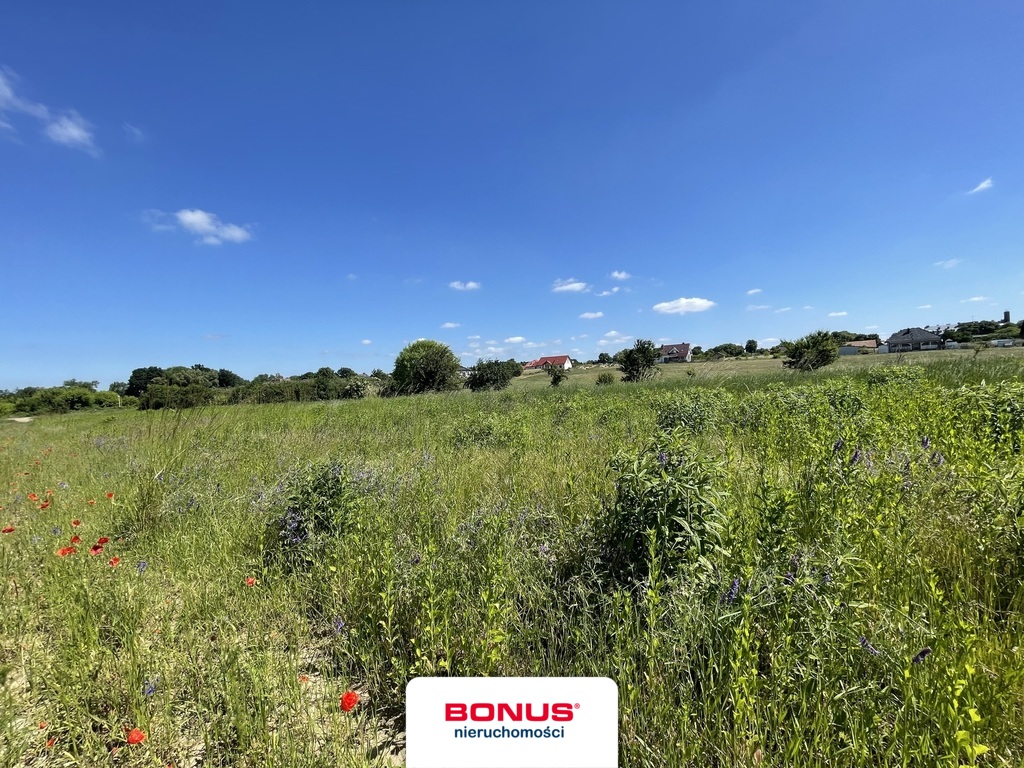 Działka nad jeziorem, Moryń (2)