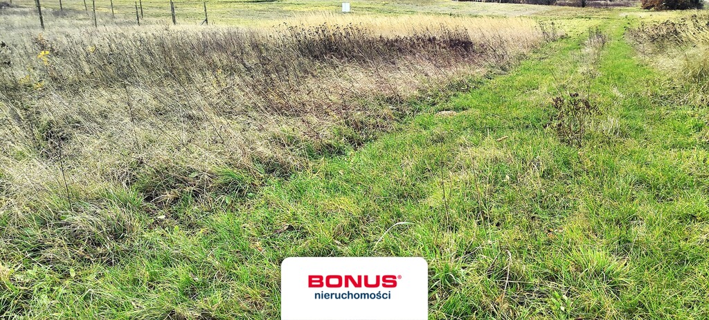 Pięknie położona działka z wydanymi WZ (1)