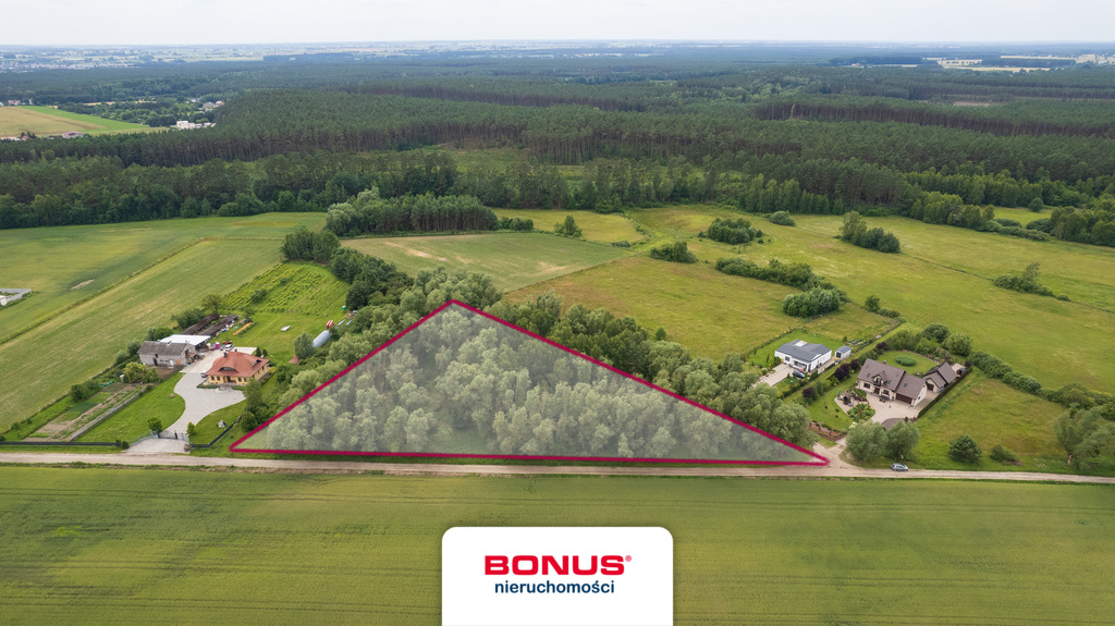 Działka w Dąbrówce Leśnej - 12.000 m2 (6)