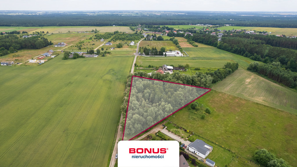 Działka w Dąbrówce Leśnej - 12.000 m2 (7)